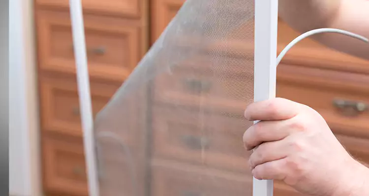 Privacy Mesh Screen Door Installation in Danville, CA