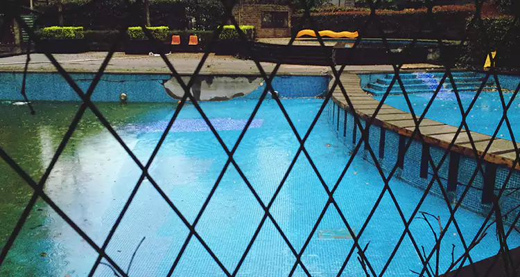 Lanai Screen Repair in Danville, CA